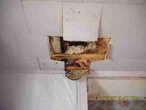 14572 Lauder (43)_m.jpg